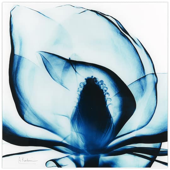 Empire Art Direct 24" x 24" Blue Magnolia X-Ray Frameless Free Floating Printed Tempered Glass Wall Art